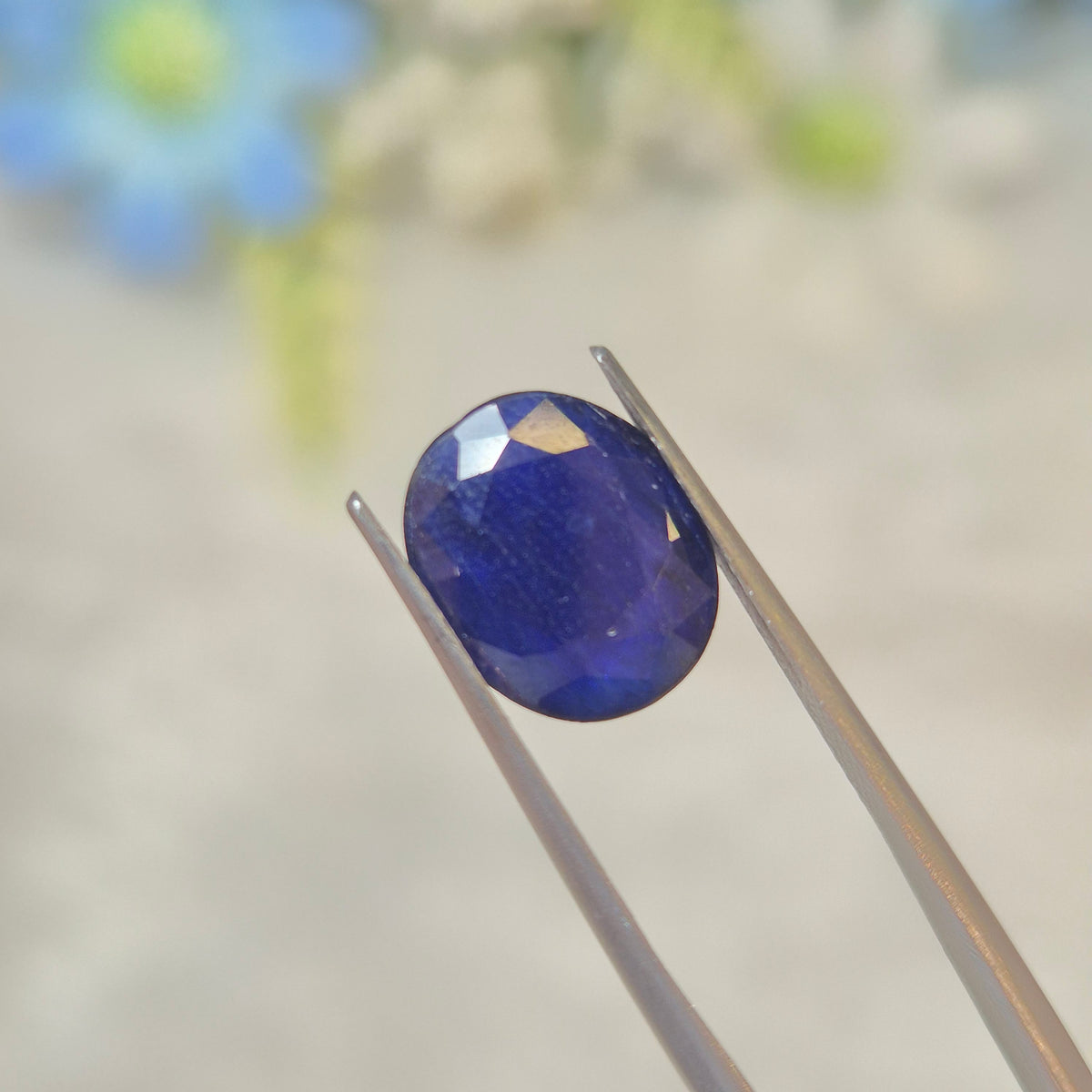Blue Sapphire | BS 170 | 3.95 Carat