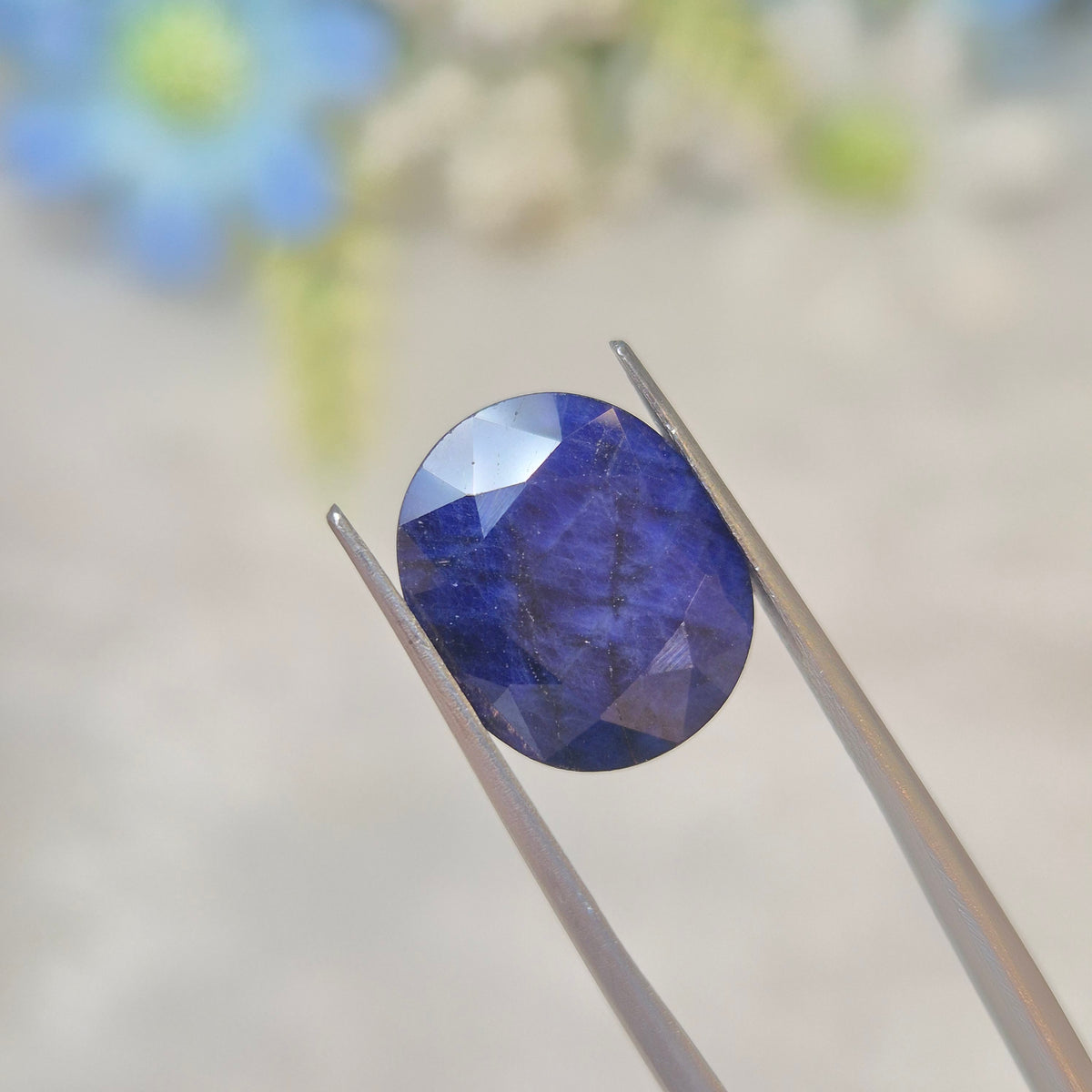 Blue Sapphire | BS 165 | 7.81 Carat