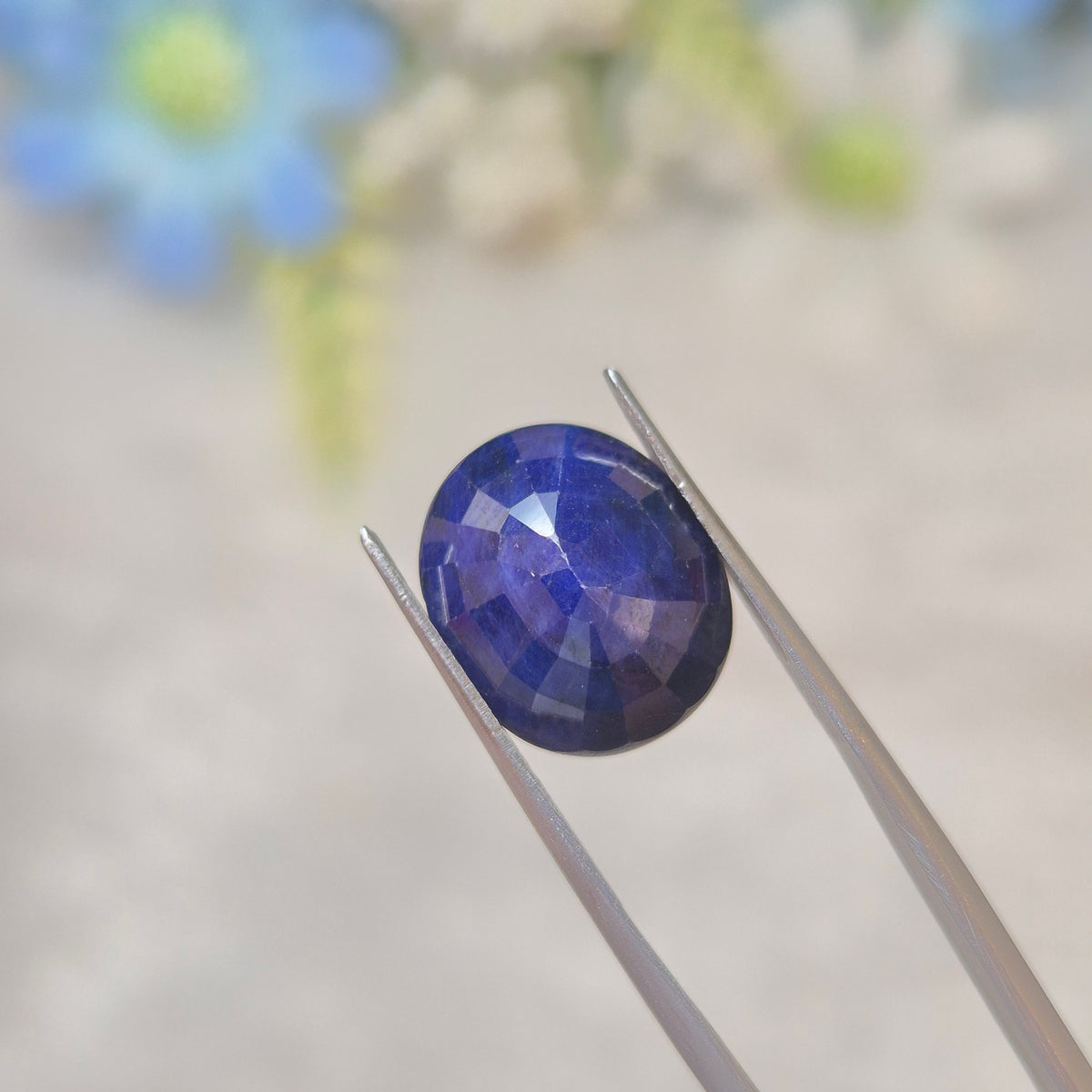 Blue Sapphire | BS 165 | 7.81 Carat