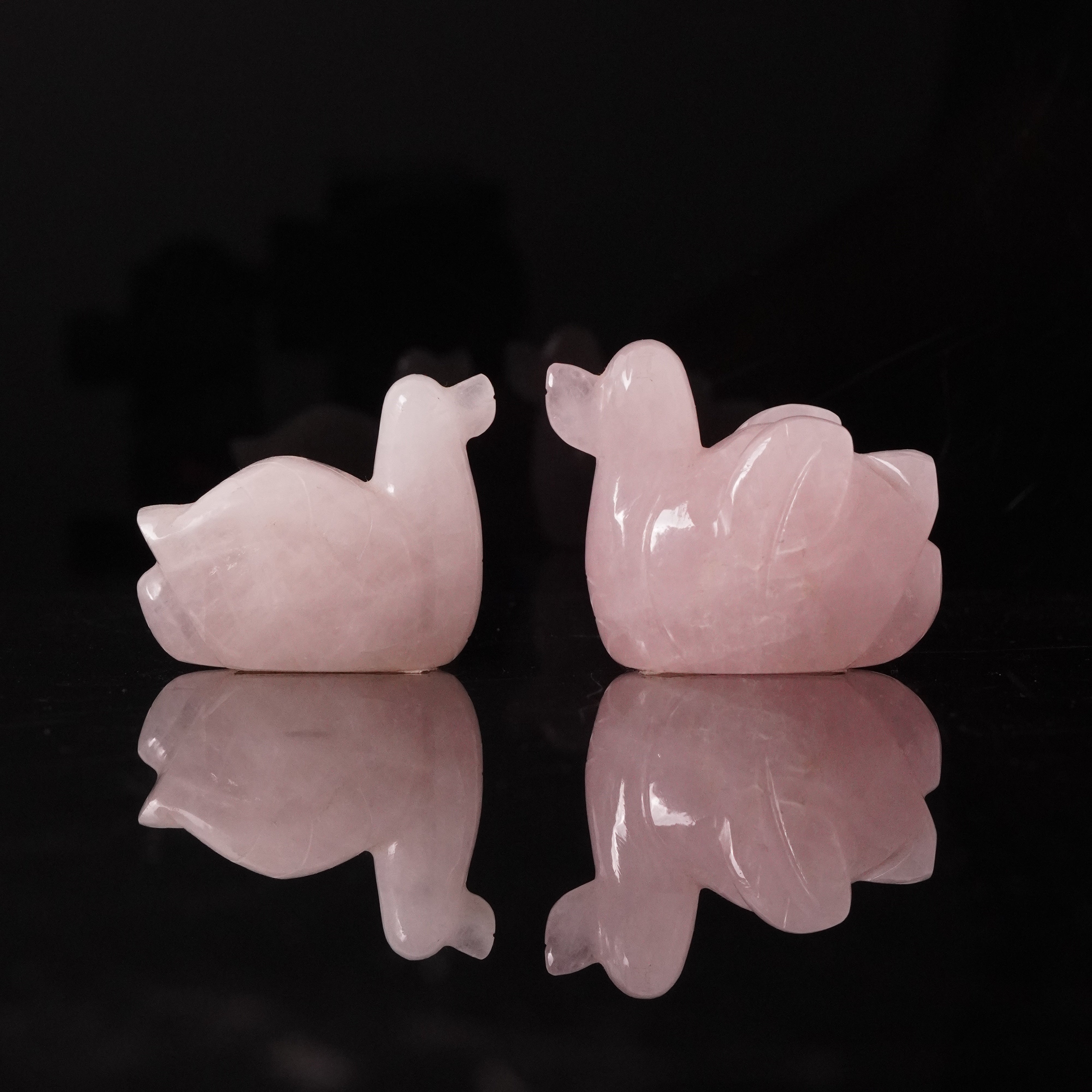 ROSE DUCK PAIR (172 GRAM)