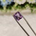 Amethyst | AME 55 | 6.69 Carat