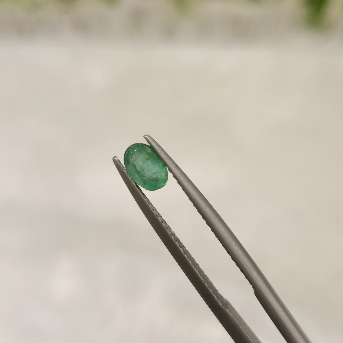 Natural Emerald (Panna) | EM 156 | 0.39 Carat | Certified