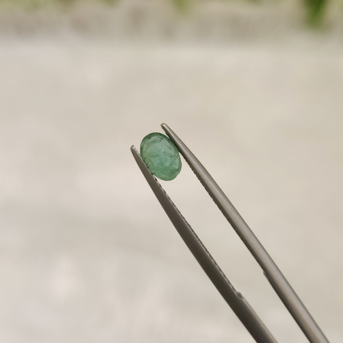 Natural Emerald (Panna) | EM 156 | 0.39 Carat | Certified