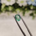 Emerald | EM 198 | 0.83 Carat