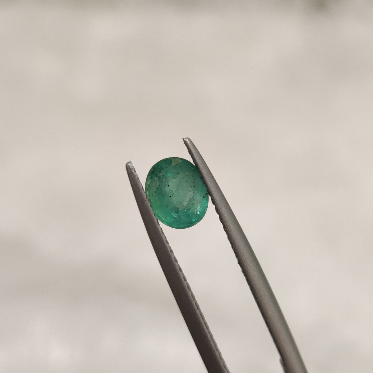 Natural Emerald (Panna) | EM 157 | 0.69 Carat | Certified