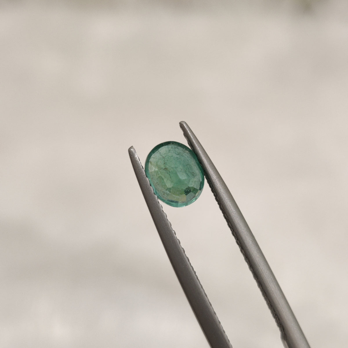 Natural Emerald (Panna) | EM 157 | 0.69 Carat | Certified