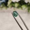 Emerald | EM 191 | 0.98 Carat