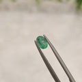 Emerald | EM 194 | 0.47 Carat