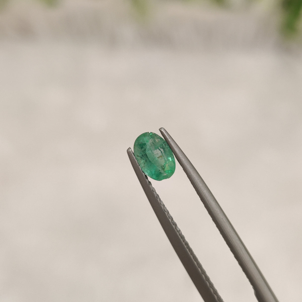 Natural Emerald (Panna) | EM 194 | 0.47 Carat | Certified