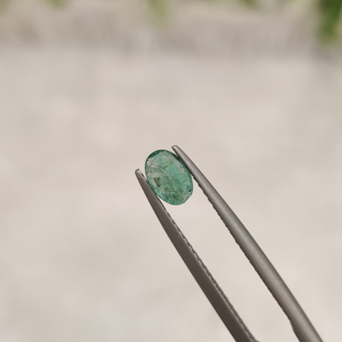 Natural Emerald (Panna) | EM 194 | 0.47 Carat | Certified