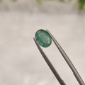 Emerald | EM 162 | 0.95 Carat