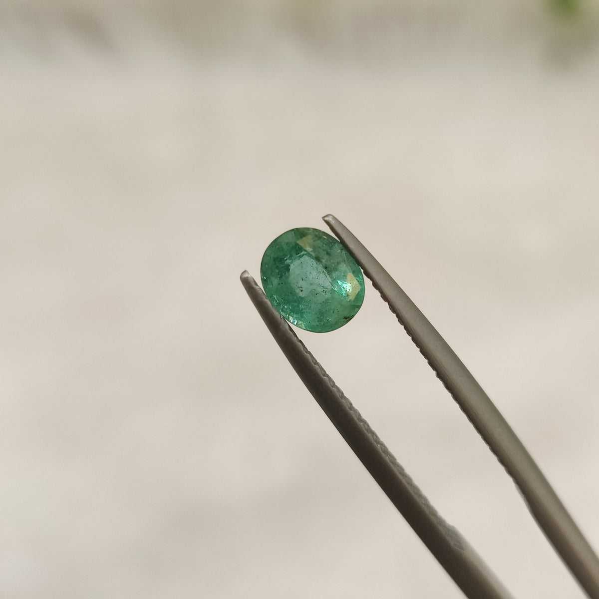Natural Emerald (Panna) | EM 189 | 0.67 Carat | Certified