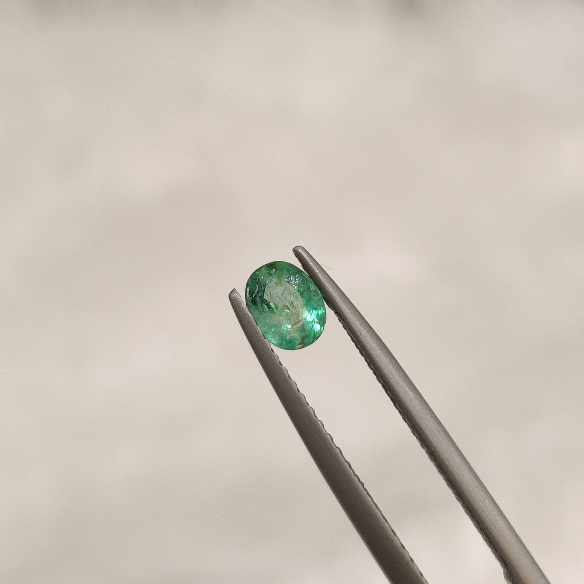 Natural Emerald (Panna) | EM 192 | 0.34 Carat | Certified