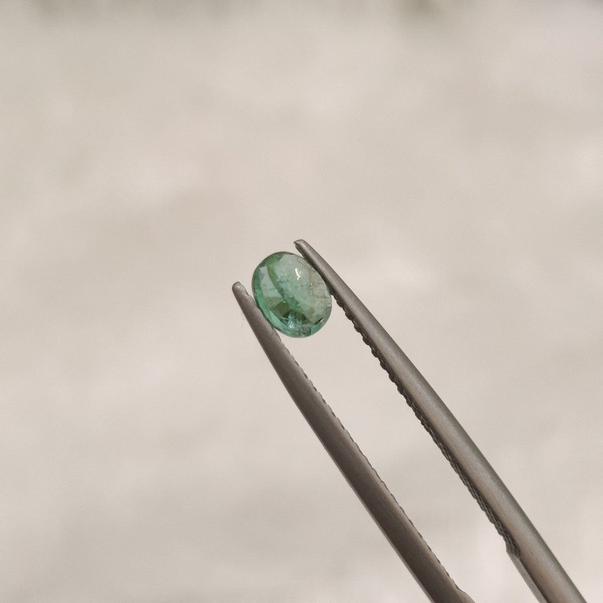 Natural Emerald (Panna) | EM 192 | 0.34 Carat | Certified