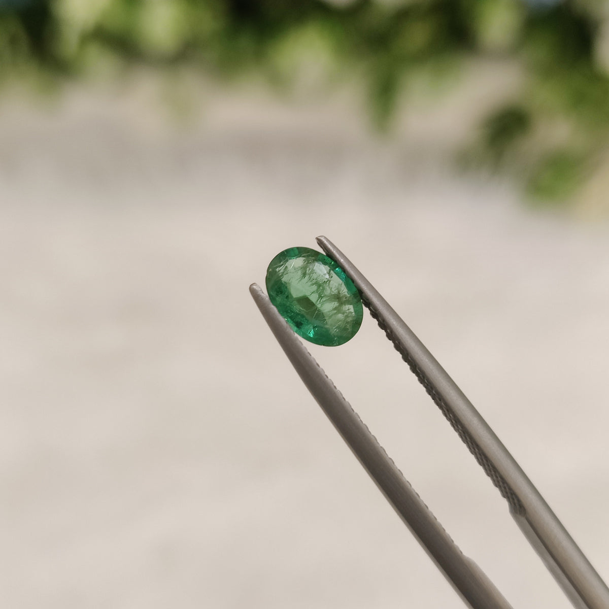 Natural Emerald (Panna) EM 137 | 0.54 Carats | Certified