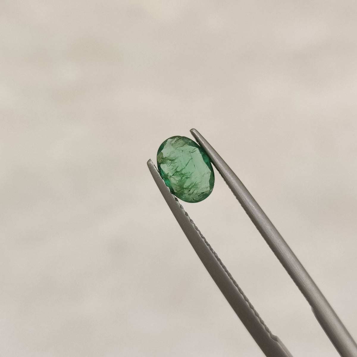 Natural Emerald (Panna) EM 137 | 0.54 Carats | Certified