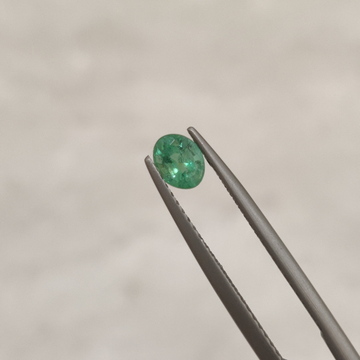 Natural Emerald (Panna) | EM 193 | 0.4 Carat | Certified