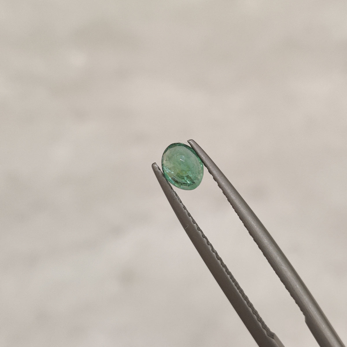 Natural Emerald (Panna) | EM 193 | 0.4 Carat | Certified