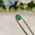 Emerald | EM 143 | 1.08 Carat