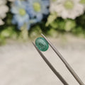 Emerald | EM 174 | 1.35 Carat