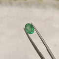 Emerald | EM 176 | 1.35 Carat