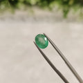 Emerald | EM 171 | 1.66 Carat