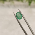 Emerald | EM 173 | 1.42 Carat