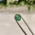 Emerald | EM 140 | 1.65 Carat