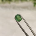 Emerald | EM 142 | 1.25 Carat