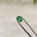 Emerald | EM 166 | 1.2 Carat