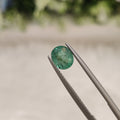Emerald | EM 187 | 1.1 Carat
