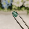 Emerald | EM 178 | 1.25 Carat