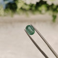 Emerald | EM 181 | 1.22 Carat