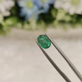 Emerald | EM 186 | 1.2 Carat