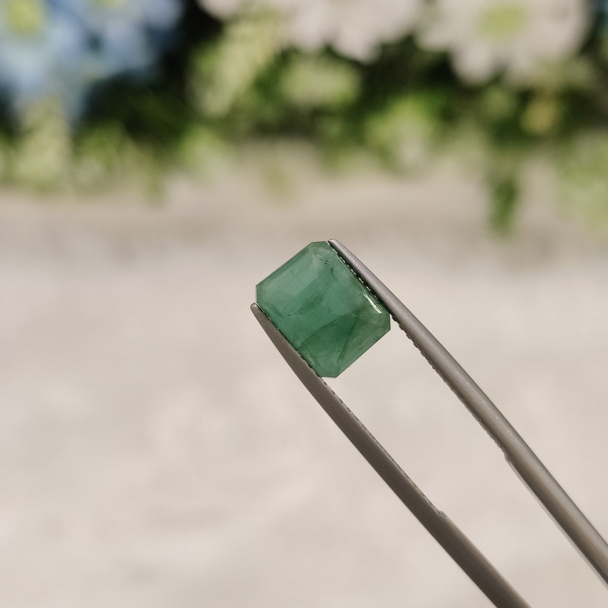 Natural Emerald (Panna) | EM 90 | 2.8 Carat | Certified