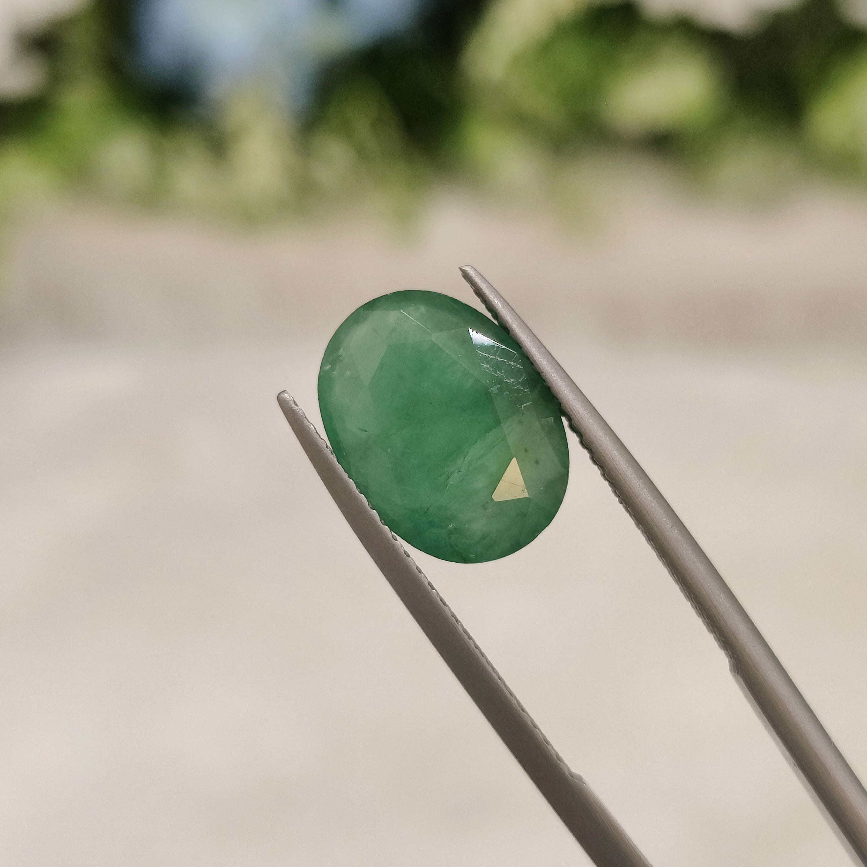 Emerald | EM 300 | 3.93 Carat