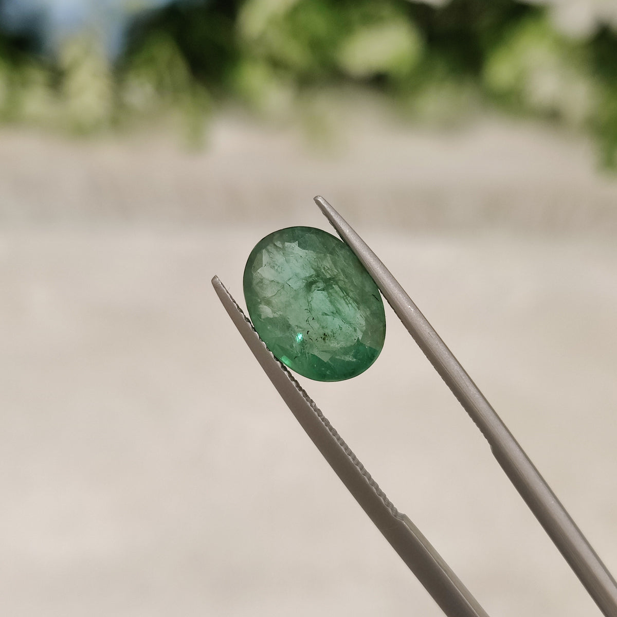 Natural Emerald (Panna) | EM 47 | 3.19 Carat | Certified