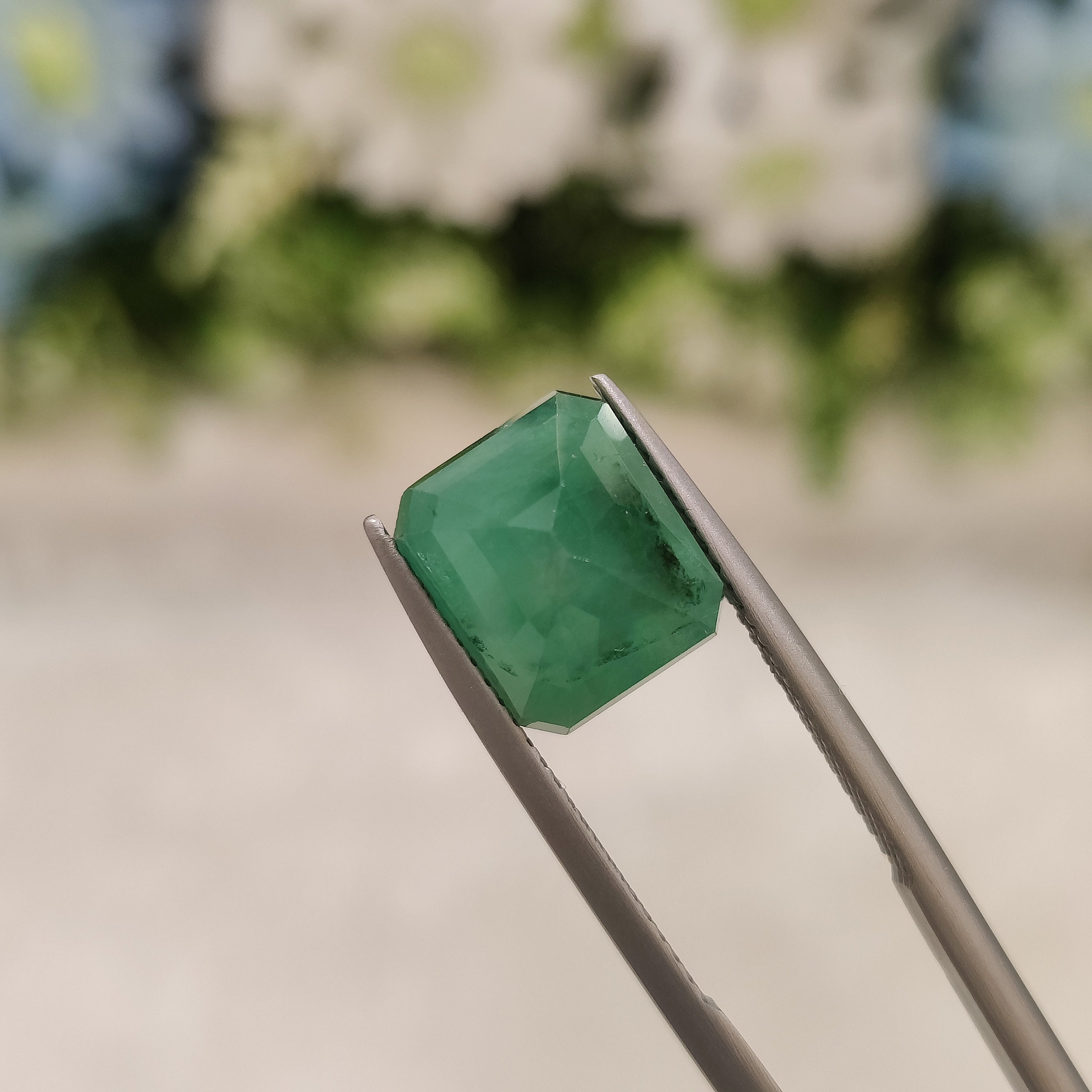 Emerald | EM 308 | 4.73 Carat