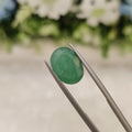 Emerald | EM 309 | 4.75 Carat