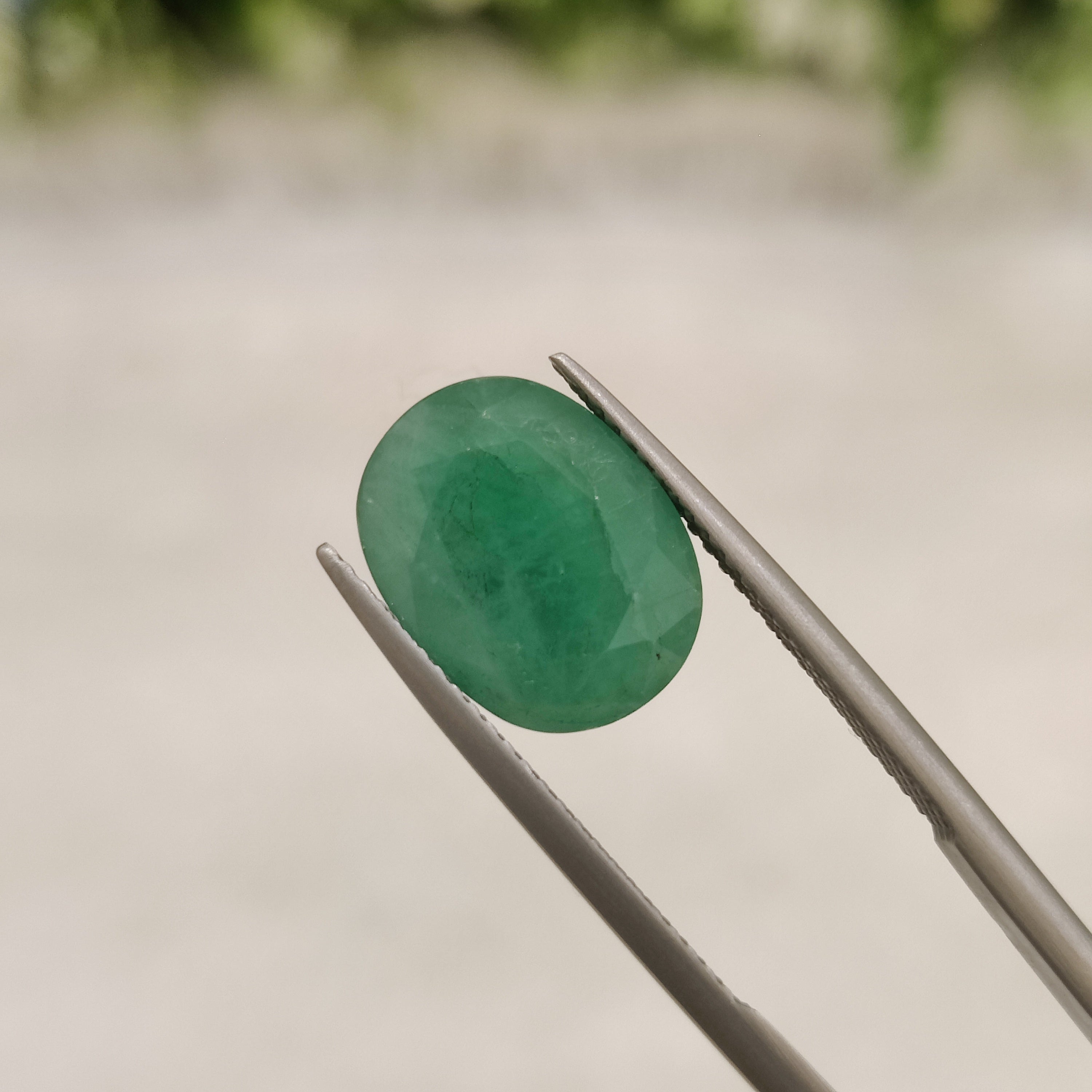 Emerald | EM 313 | 4.97 Carat