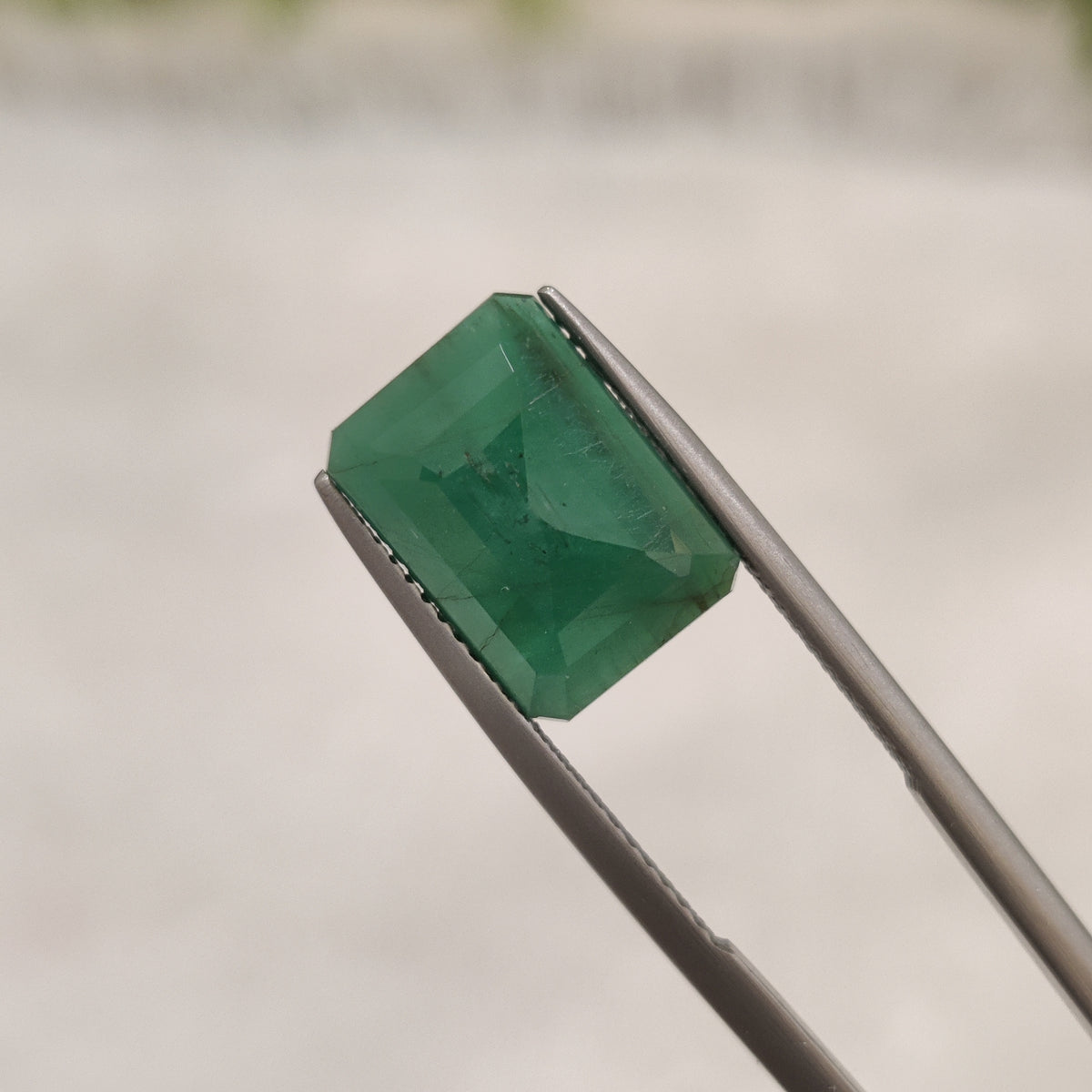 Natural Emerald (Panna) | EM 218 | 4.98 Carat | Certified