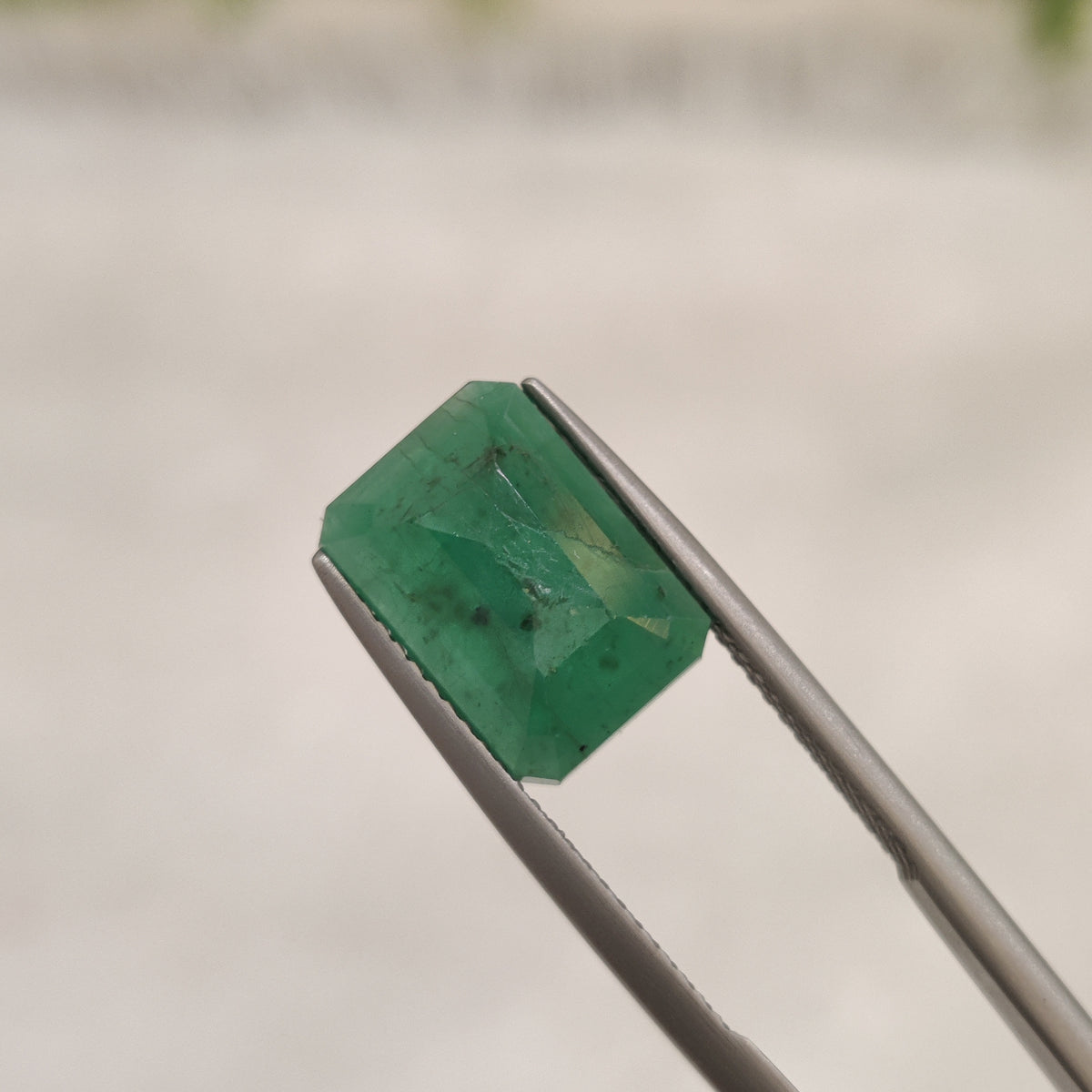 Natural Emerald (Panna) | EM 217 | 4.64 Carat | Certified