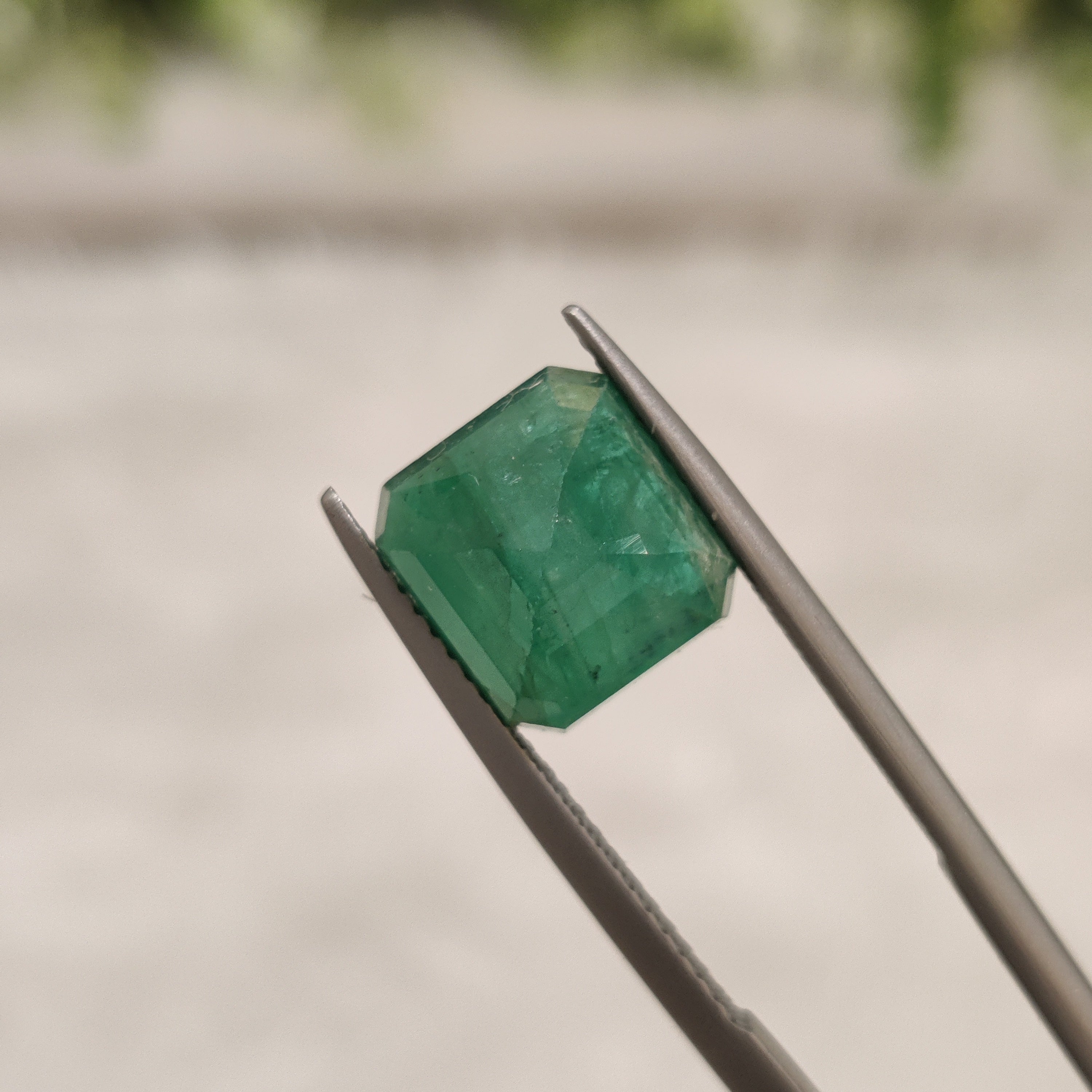 Emerald | EM 204 | 4.53 Carat