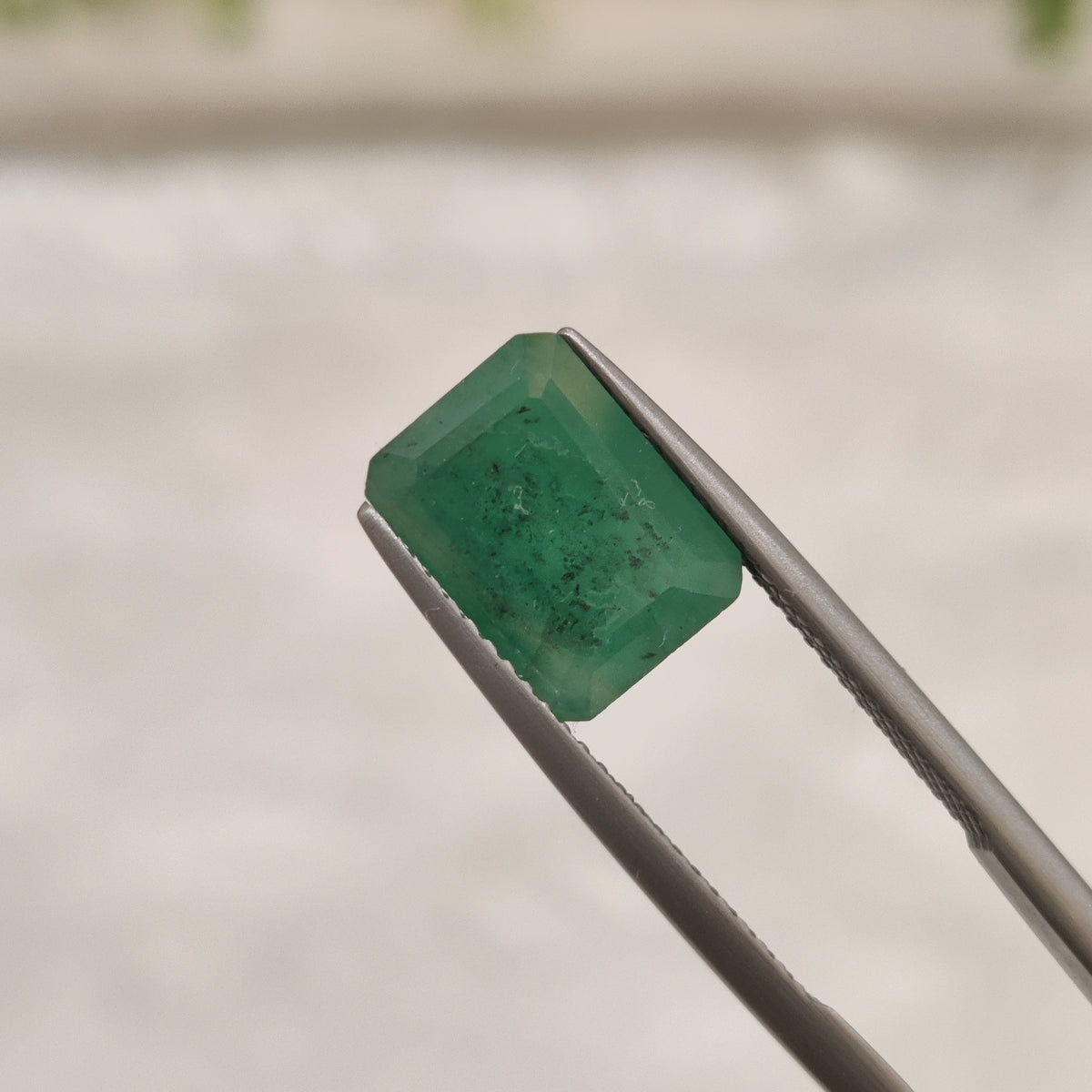 Natural Emerald (Panna) | EM 210 | 4.65 Carat | Certified