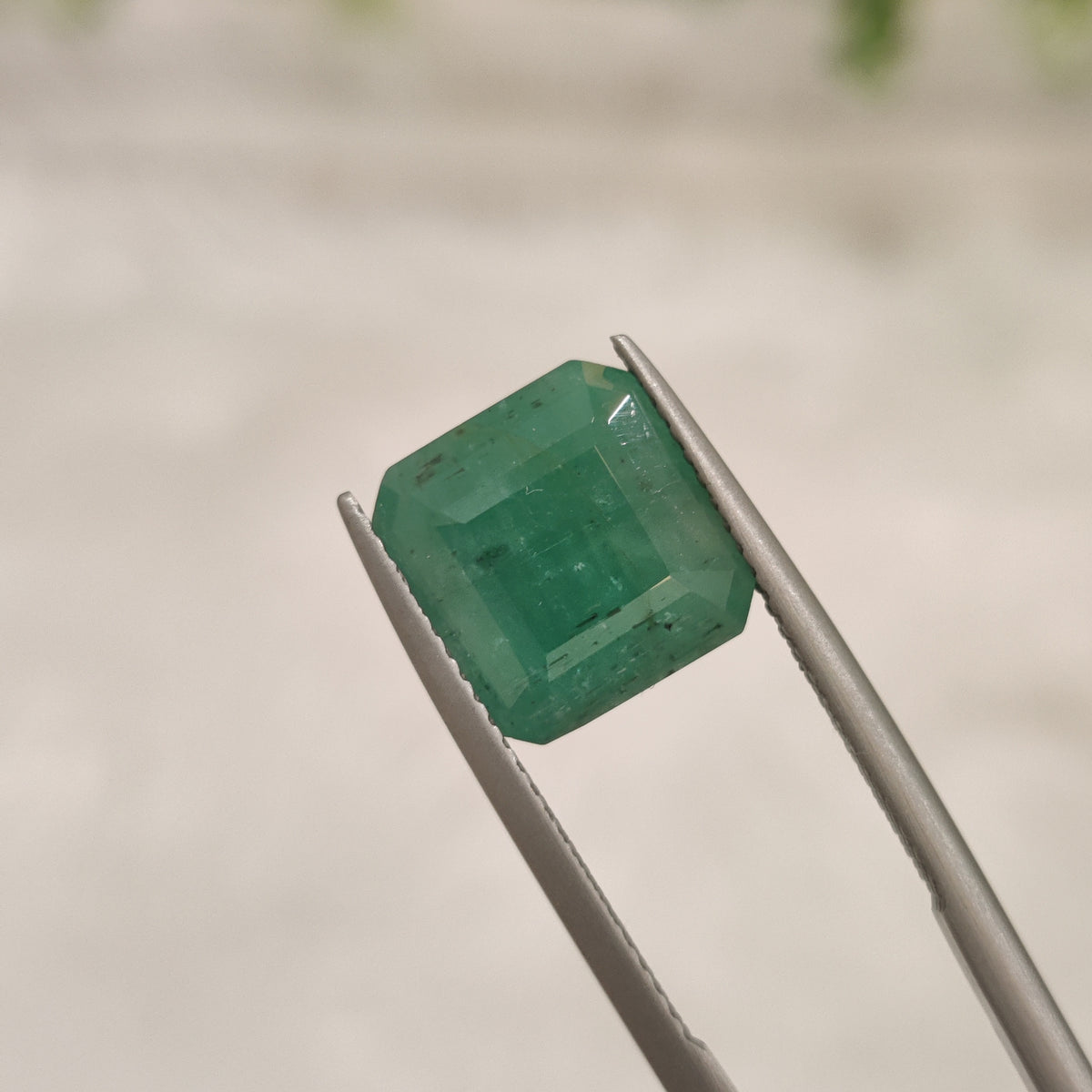 Natural Emerald (Panna) | EM 121 | 5.24 Carat | Certified