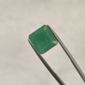 Emerald | EM 325 | 5.66 Carat