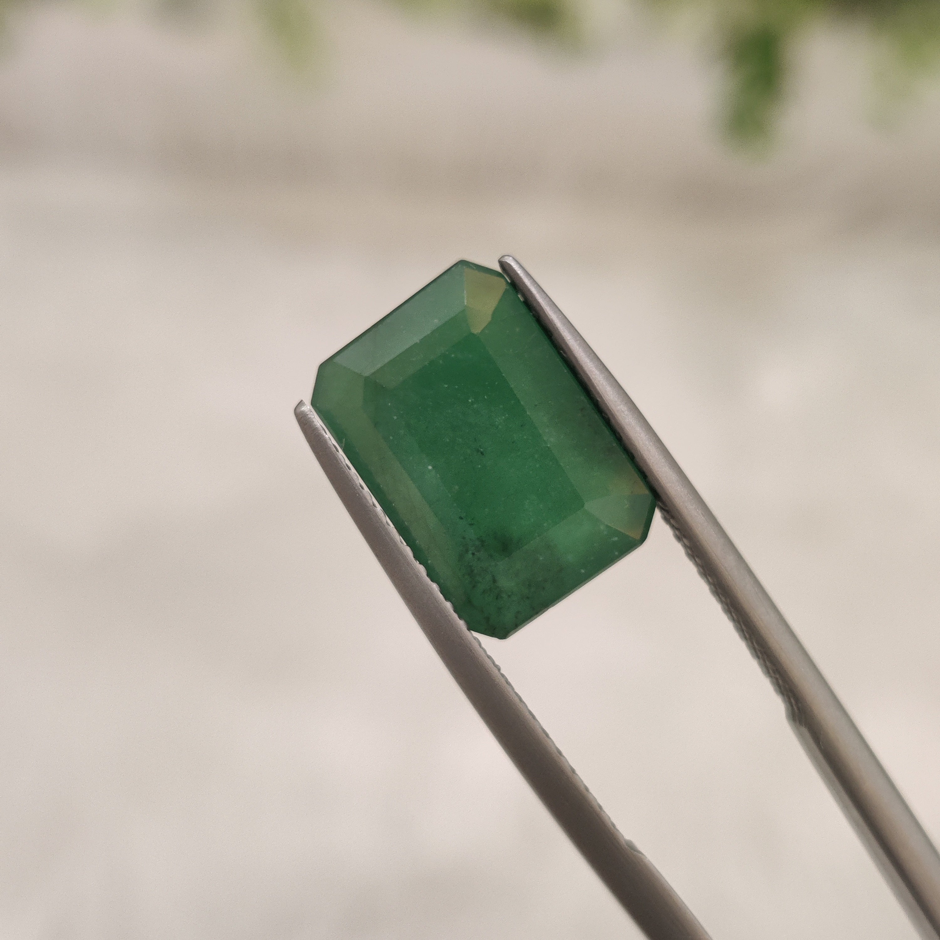 Emerald | EM 206 | 5.49 Carat