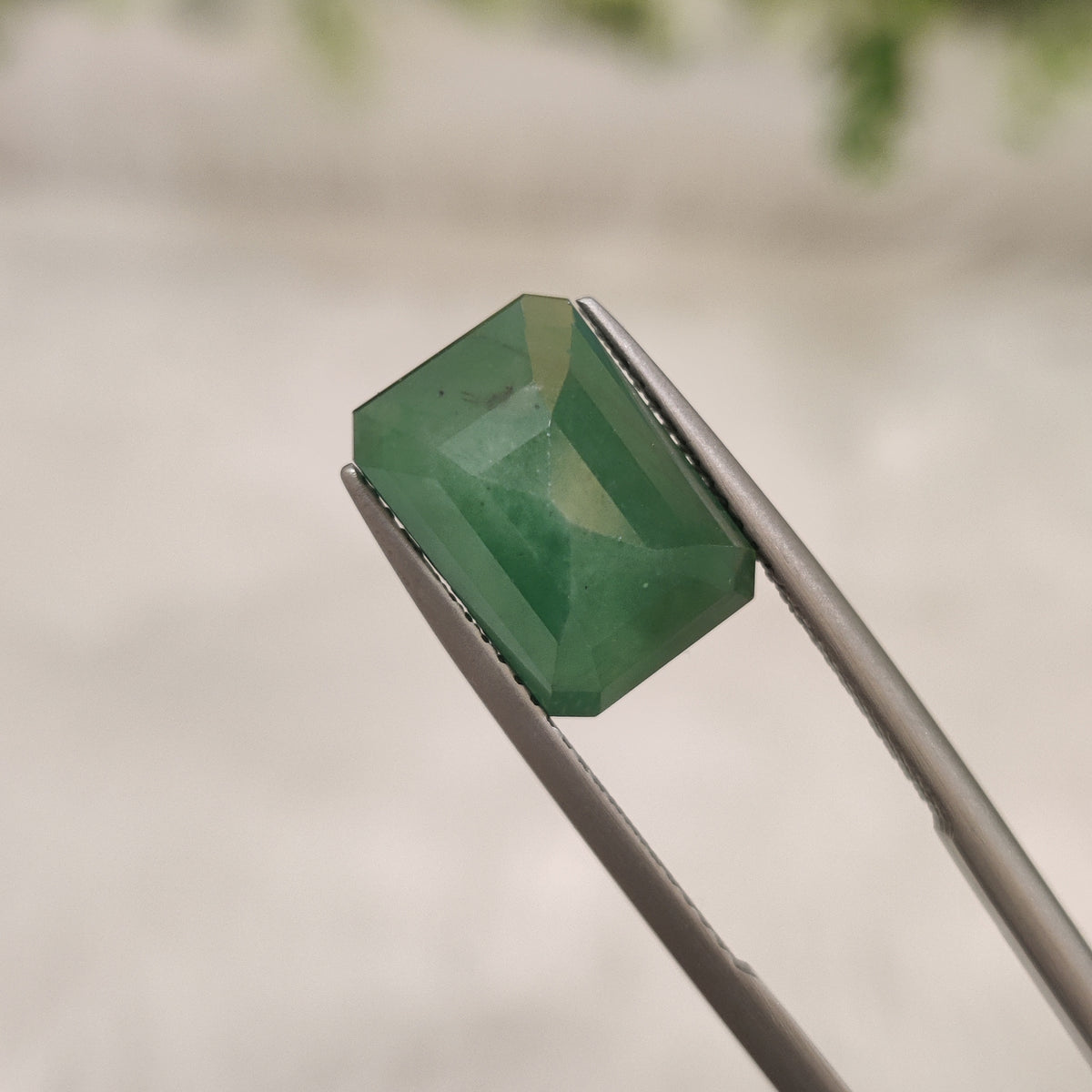 Natural Emerald (Panna) | EM 206 | 5.49 Carat | Certified