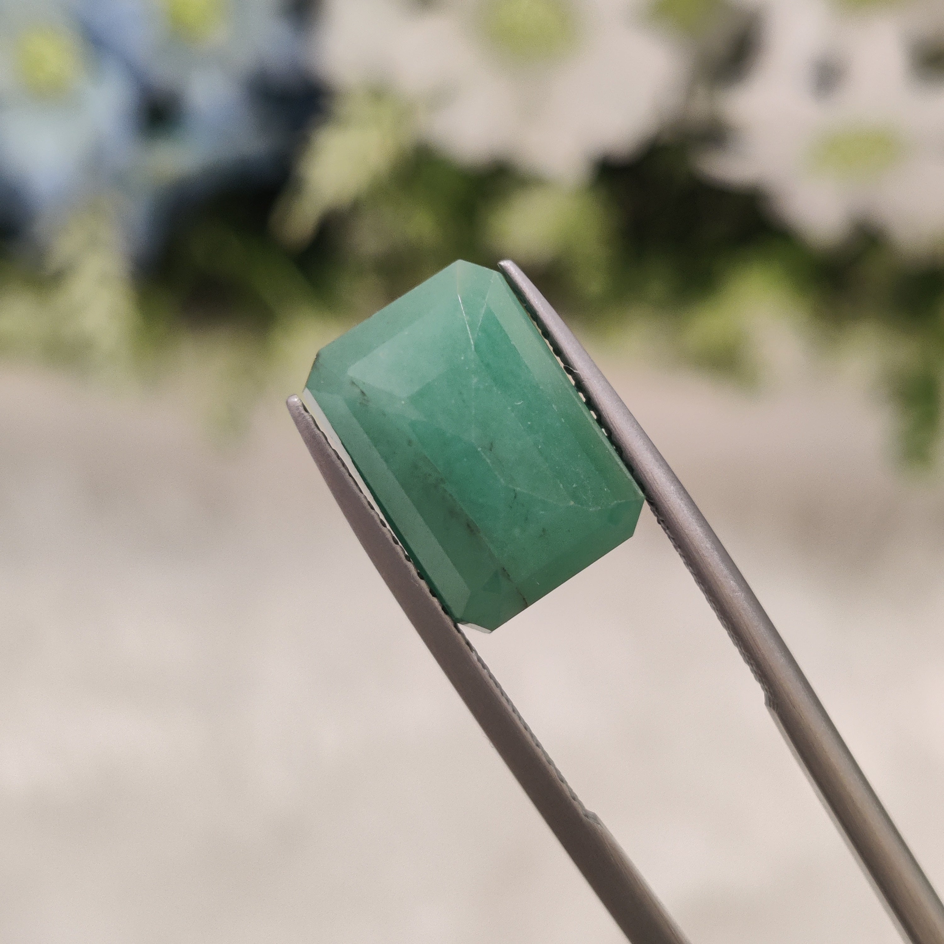 Emerald | EM 224 | 6.23 Carat