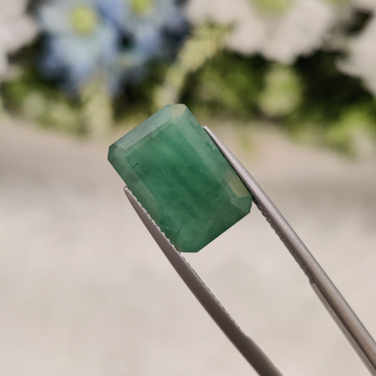 Natural Emerald (Panna) | EM 219 | 8.3 Carat | Certified